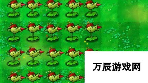 植物大战僵尸杂交版：双发仙人掌的独特功能与战略价值解析