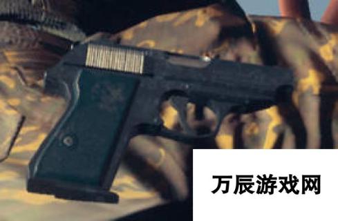 腐烂国度2武器PPK深度解析-性能与特点详解