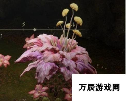 艾尔登法环：粉色花的独特打法与策略解析