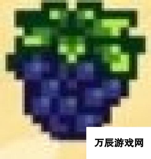 《星露谷物语》1.6秋季有哪些节日 秋季节日攻略