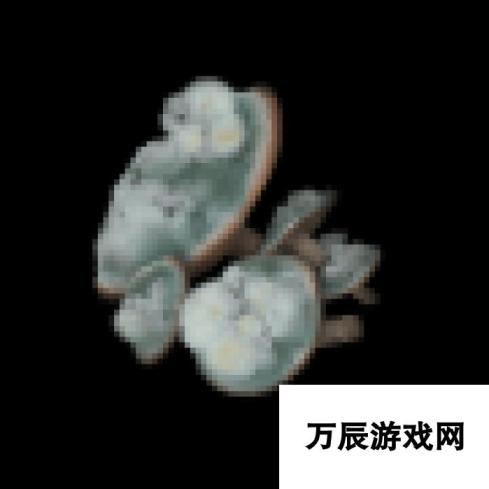 《艾尔登法环》毒霉蘑菇获取方法攻略