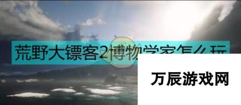 《荒野大镖客2》博物学家攻略