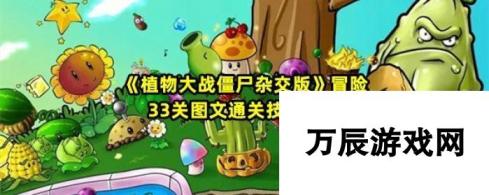 植物大战僵尸杂交版冒险33关图文通关技巧推荐 关键步骤与通关策略