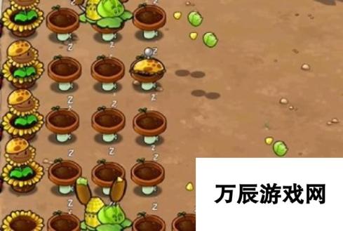 《植物大战僵尸杂交版》冒险25关图文通关技巧分享，植物位置放置推荐