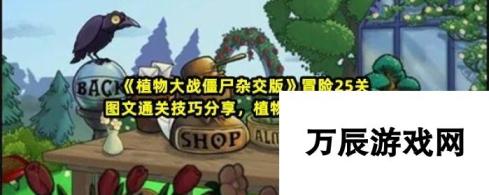 植物大战僵尸杂交版冒险25关图文通关技巧推荐 植物放置位置与攻略