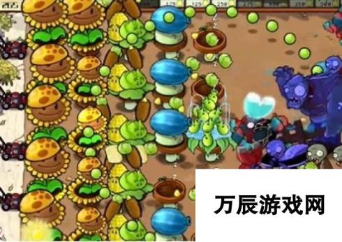 《植物大战僵尸杂交版》冒险25关图文通关技巧分享，植物位置放置推荐