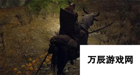 艾尔登法环灵依铃兰 神秘魔法植物