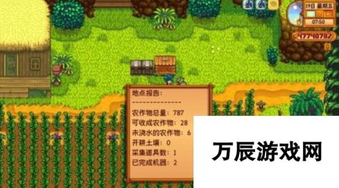 本站网2